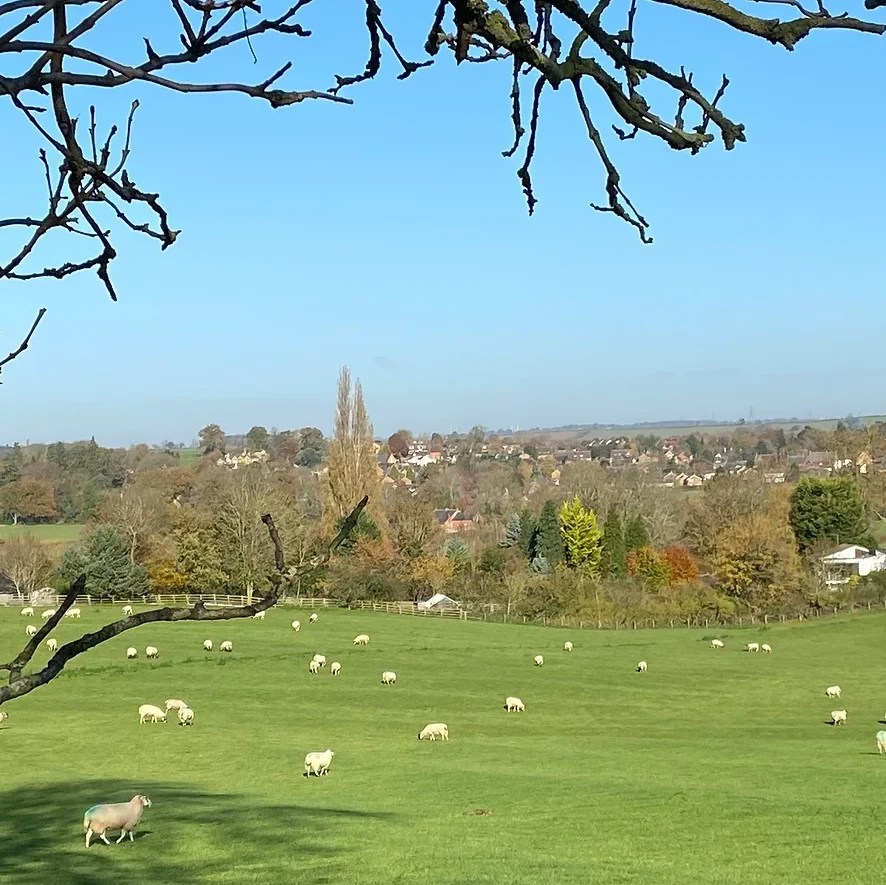 View of Flore in the distance from Flore Wharf.